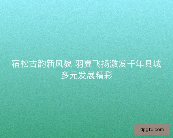 宿松古韵新风貌 羽翼飞扬激发千年县城多元发展精彩 宿松古韵新风貌 羽翼飞扬激发千年县城多元发展精彩