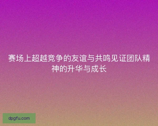赛场上超越竞争的友谊与共鸣见证团队精神的升华与成长 赛场上超越竞争的友谊与共鸣见证团队精神的升华与成长
